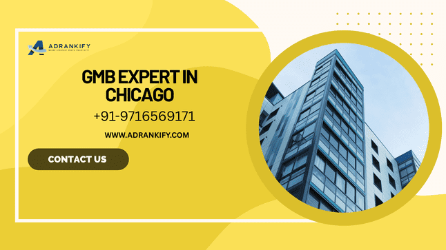 GMB Expert in Chicago